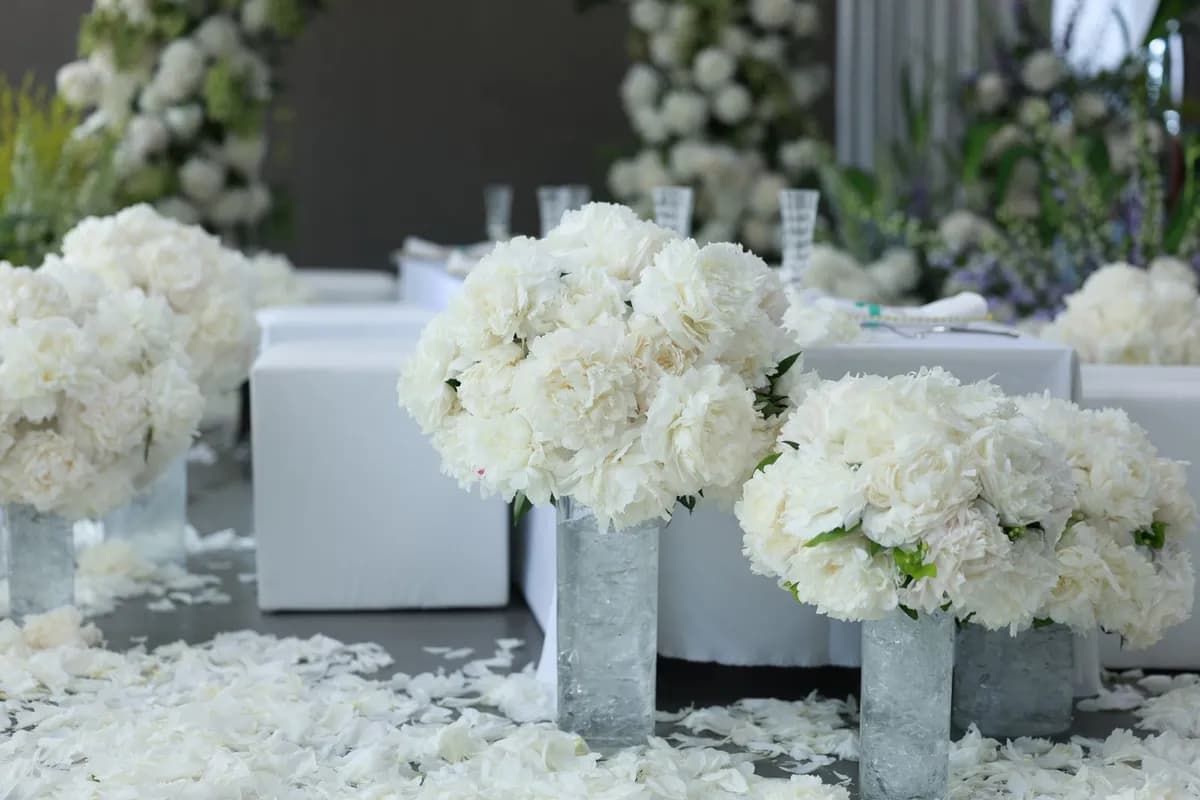Wedding planner